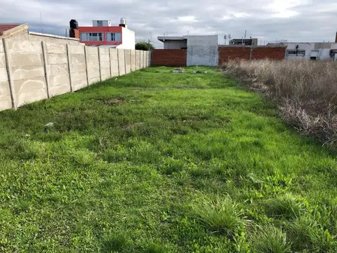 Tapin y Victorino de la Plaza lote 6 Glew