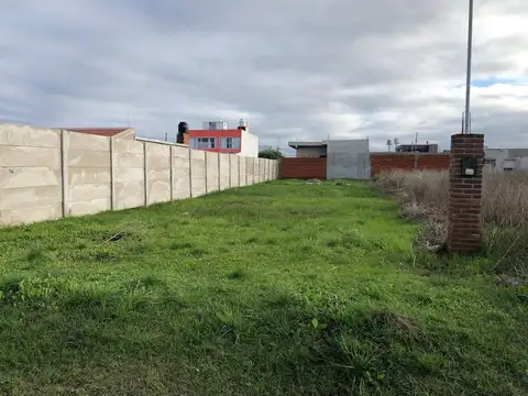 Tapin y Victorino de la Plaza lote 6 Glew