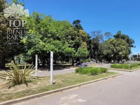 Terreno en Venta de 10030000,0 m2