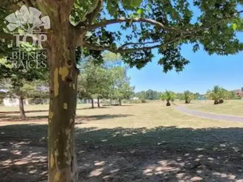 Old Man Haras Santa María Escobar 800