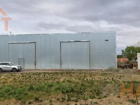 Isla Jordan, Cipolletti