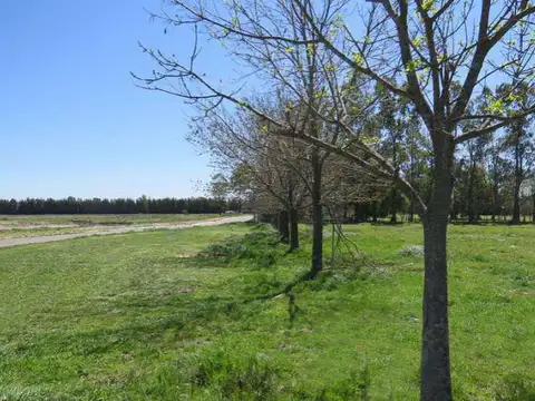 Terreno en Venta en Santa Ines, USD 78.000