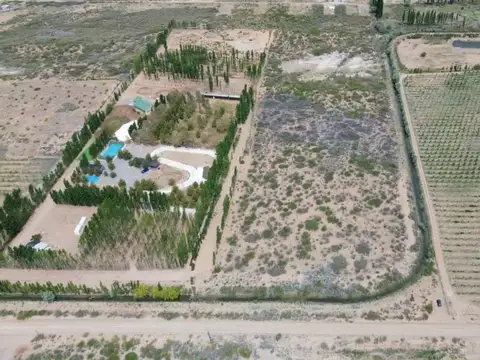 Juan Domingo Perón 6000