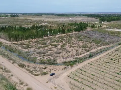 Terreno en Venta de 50000,0 m2