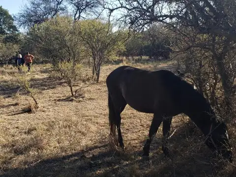 Lote Piedra Blanca   Calle Moran