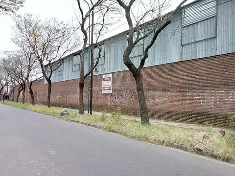 Guillermo White 4900