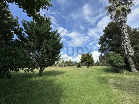 143 y 627 100, Piso 0