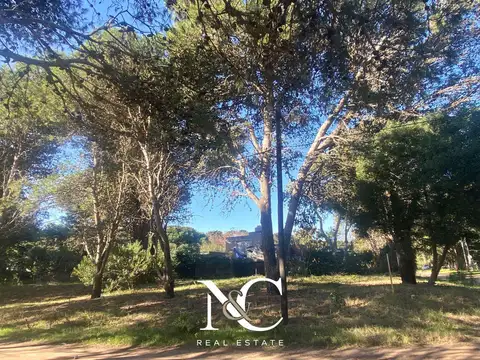 Terreno en Venta de 608,0 m2