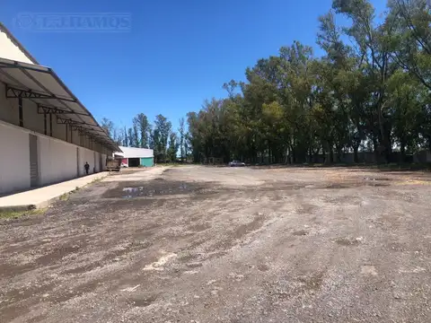 Depósito en  Alquiler en Zárate