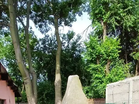 VENTA LOTE CON CASA 3 AMBIENTES EN GRAL RODRIGUEZ