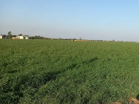 Campo en Pujato Norte