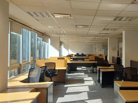 Oficina en Alquiler A Estrenar