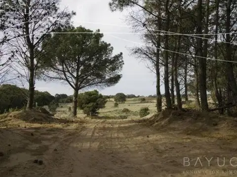 Terreno en Venta en Pehuen Co, USD 20.000