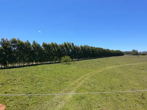 Terreno en Venta de 850,0 m2