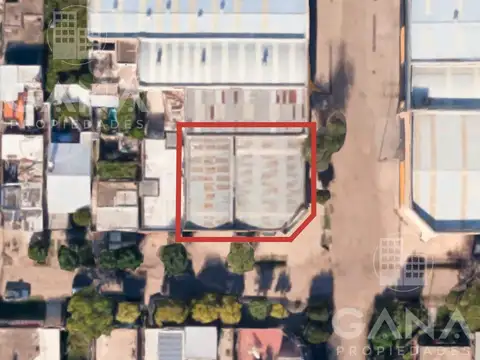 Constitucion y Amenabar