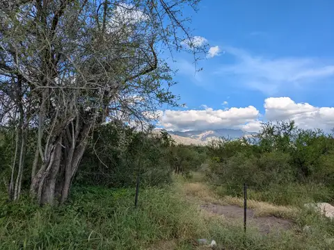 Terreno en Venta de 3000,0 m2