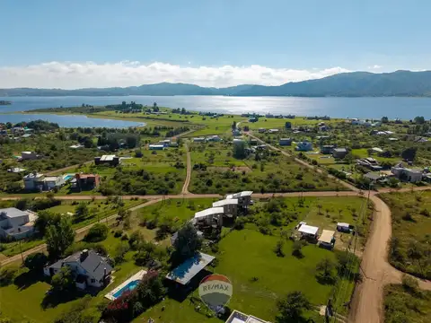 eucaliptus y jacarandas 100