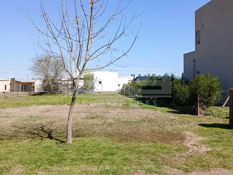 Terreno Venta - Ingeniero Maschwitz