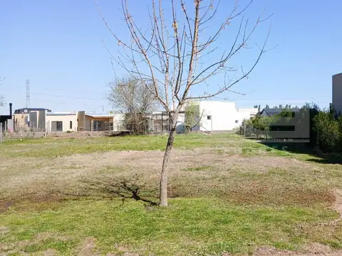 Terreno en Venta de 600,0 m2