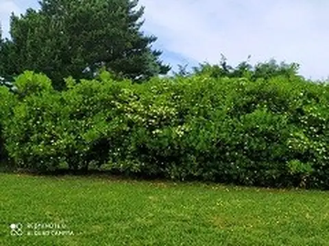 Casa en venta en Miramar