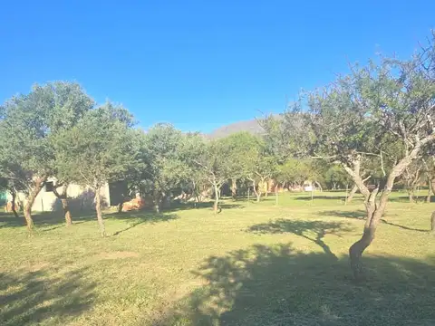 Terreno en venta en Cortaderas