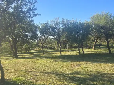 Terreno en Venta de 1600,0 m2