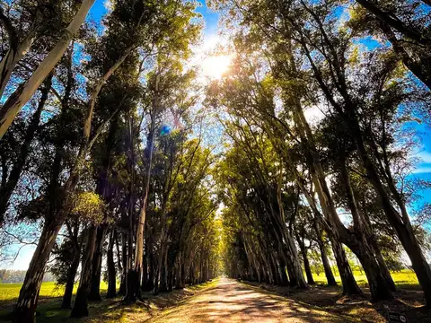 Terreno en Venta en Villa Ruiz, USD 27.000