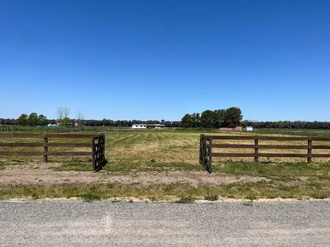 Bernardino Rivadavia 100