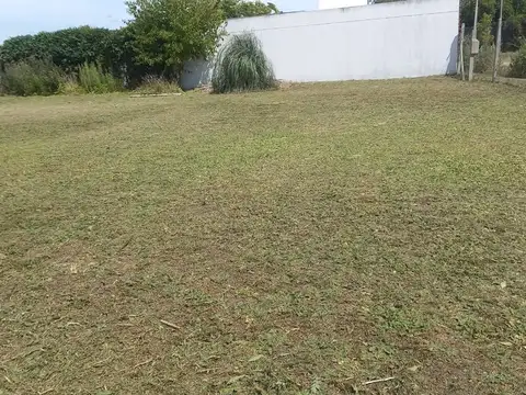 Terreno en Venta en Villa Elisa, USD 49.000