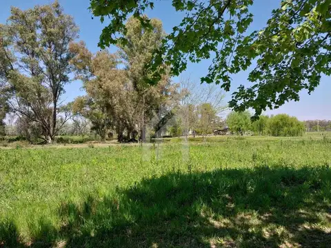 Terreno en Venta de 9500,0 m2