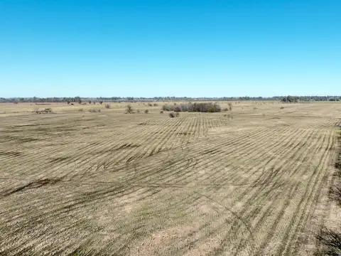 80 Has. Campo Mixto en Marcos Paz