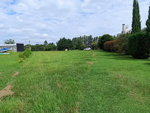 Solares del carcaraña