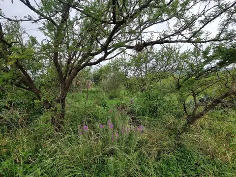 Terreno en Venta de 562,0 m2