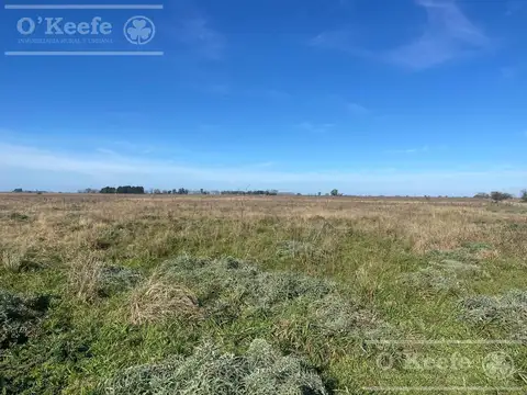 Chacra en venta de 4 has en Abasto - Partido de La Plata !!!