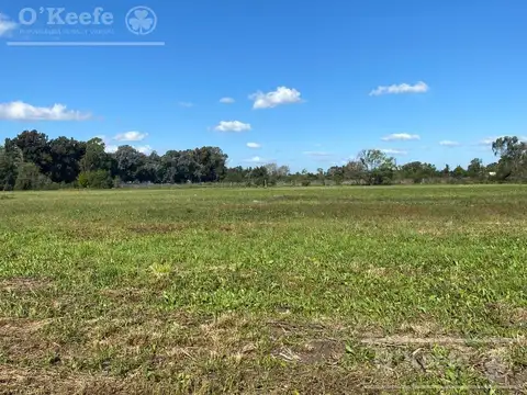 Chacra en venta de 4 has en Abasto - Partido de La Plata !!!