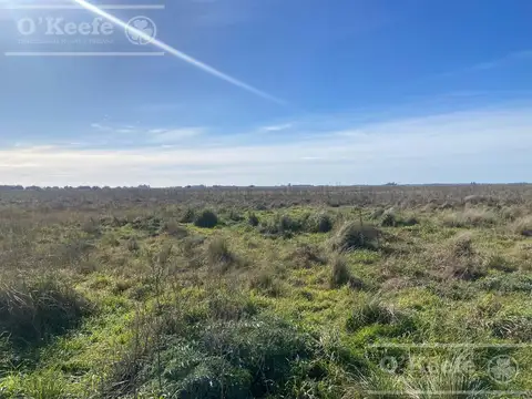 Chacra en venta de 4 has en Abasto - Partido de La Plata !!!