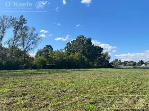 Chacra en venta de 4 has en Abasto - Partido de La Plata  