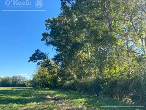 Chacra en venta de 4 has en Abasto - Partido de La Plata  