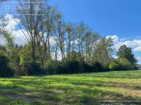 Chacra en venta de 4 has en Abasto - Partido de La Plata  