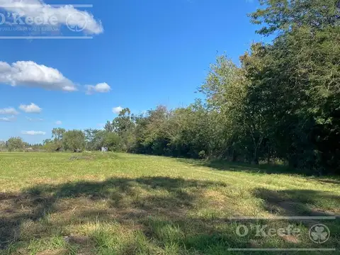 Chacra en venta de 4 has en Abasto - Partido de La Plata !!!