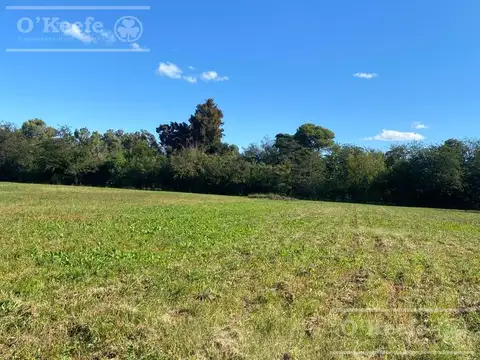Chacra en venta de 4 has en Abasto - Partido de La Plata  