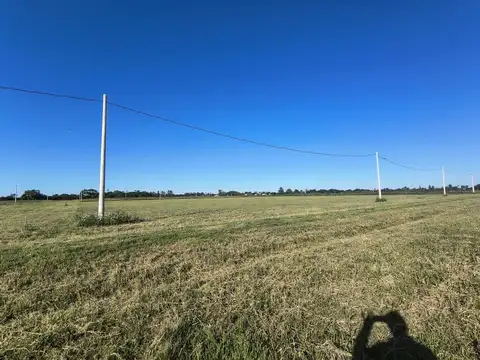 Calle publica sin numero