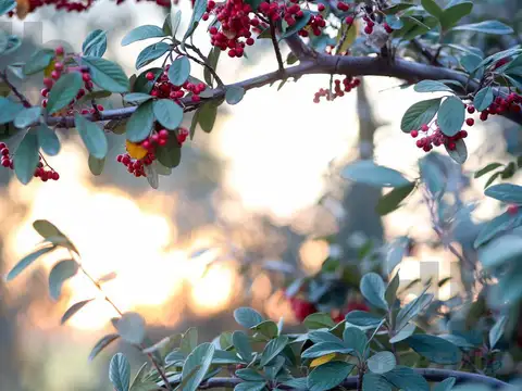 Terreno en Venta de 600,0 m2