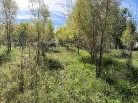Terreno en venta - 1.000mts2 - San Bernardo Del Tuyú