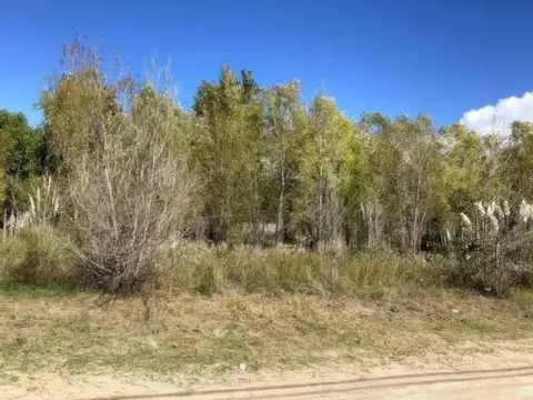 Gutiérrez e/ 18 y 20