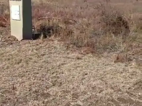 Terreno en Venta en Santa Rosa De Conlara, USD 12.000