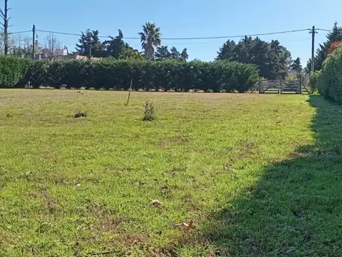 Terreno en Venta 40  mts Fondo