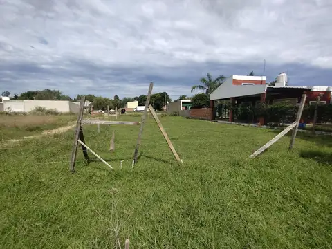 El Cabildo y Ameguino