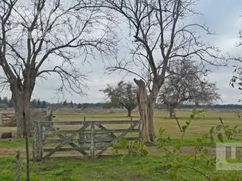 Terreno en Venta en Jauregui Jose Maria, USD 10