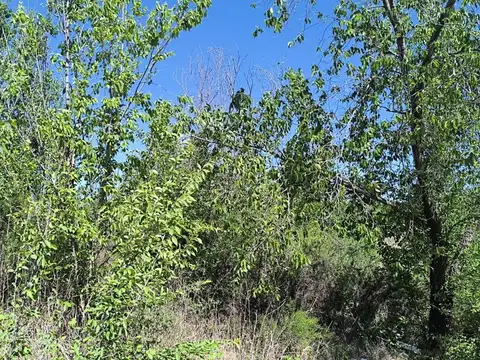 Terreno en Venta de 914,0 m2